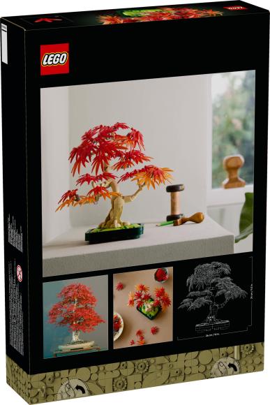 Botanicals 10348 Bonsaitræ Japansk Løn