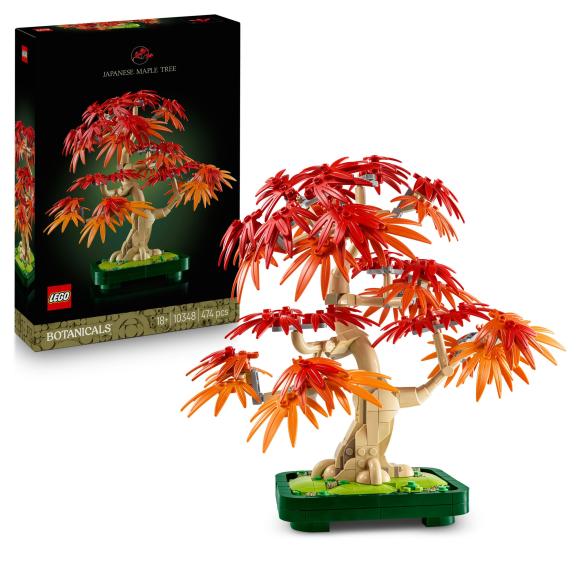 Botanicals 10348 Bonsaitræ Japansk Løn