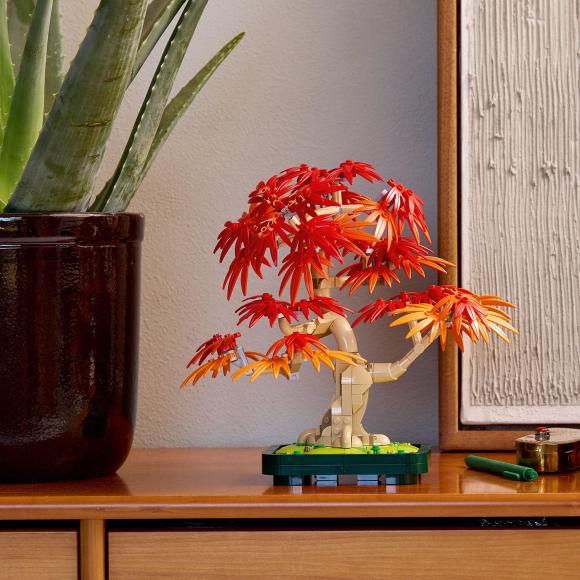 Botanicals 10348 Bonsaitræ Japansk Løn