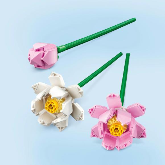 Botanicals 40647 Lotusblomster