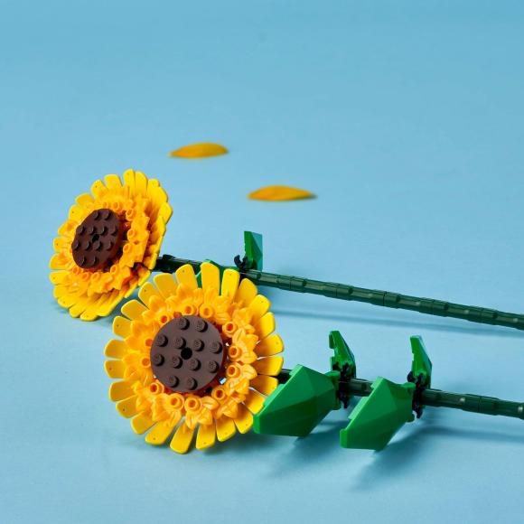 Botanicals 40524 Solsikker 