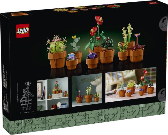 LEGO Botanicals 10329 Små planter æske set bagfra