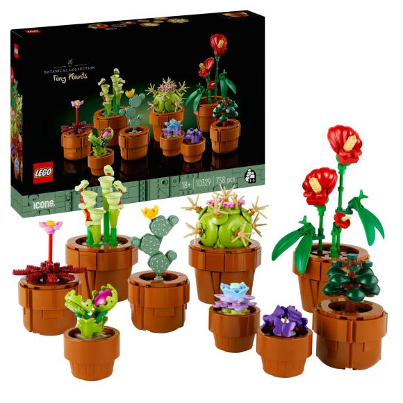 LEGO Botanicals 10329 Små planter med bygget LEGO sæt foran æske