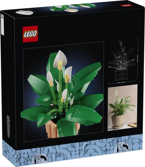 LEGO Botanicals 11504 Fredslilje æske set bagfra