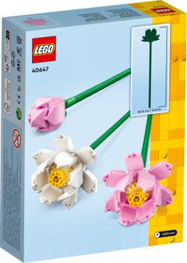 LEGO Botanicals 40647 Lotusblomster